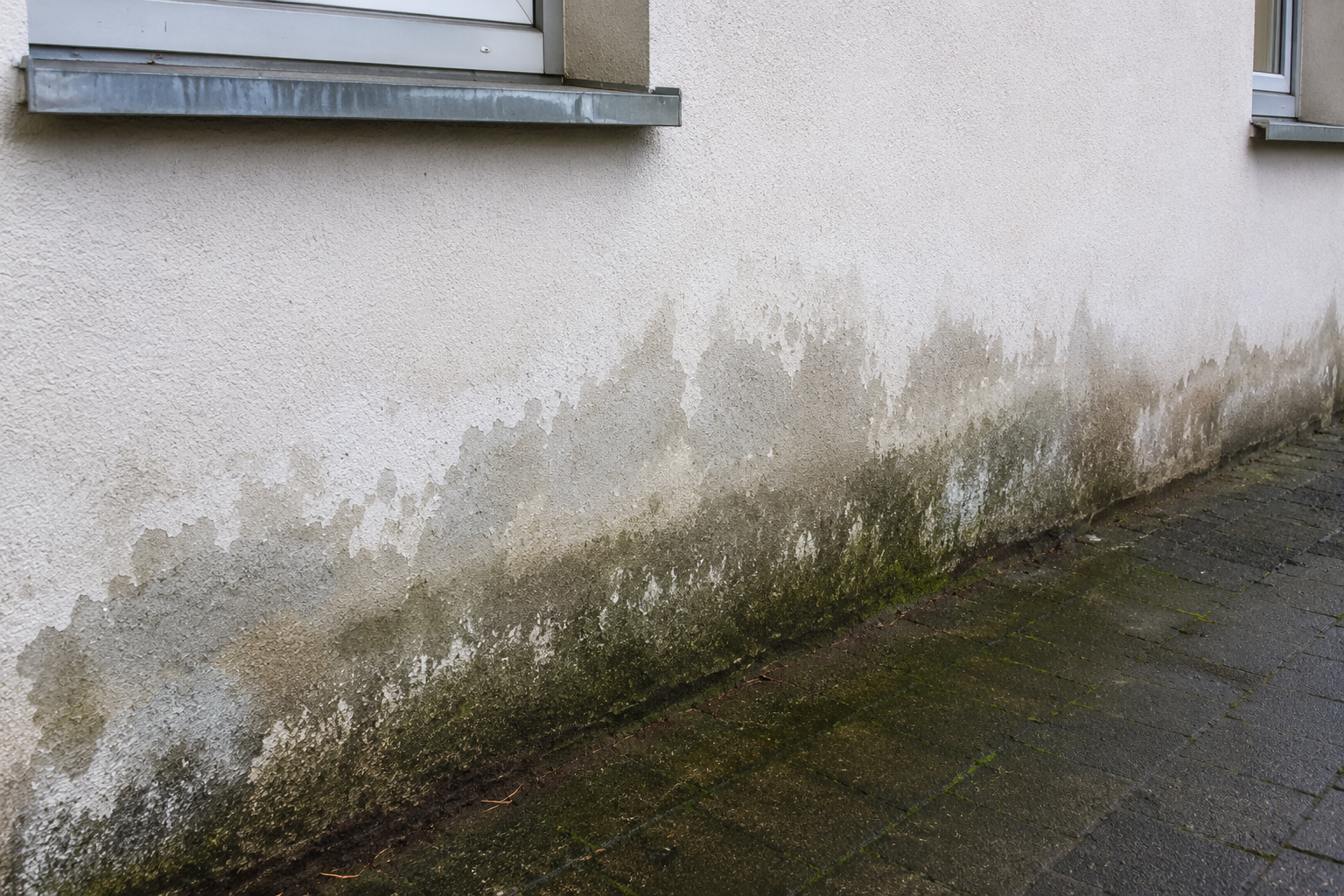 Feuchte Kellerwand mit beschädigtem Putz
