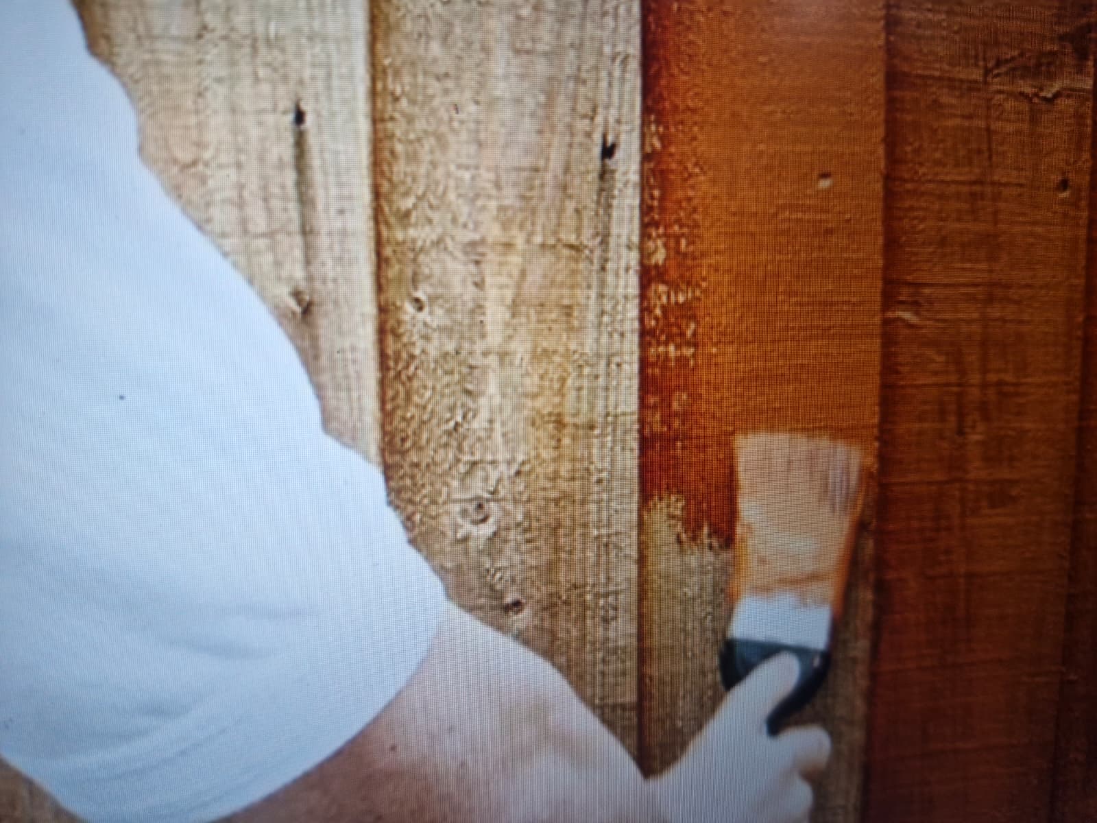 Holzbalken mit Holzwurmbefall